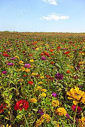 模拟游戏《城市之眼》即将发售 监控整个城市抓捕罪犯